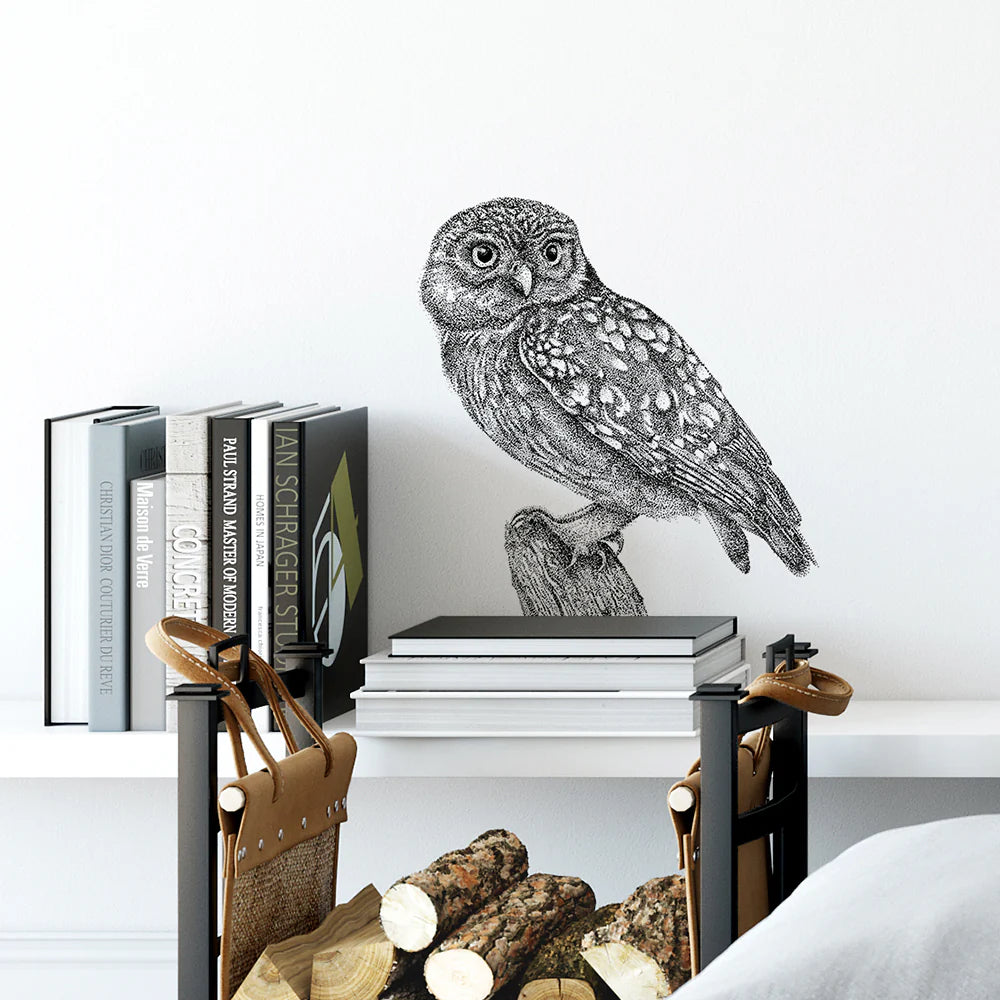 Bird Wall Stickers